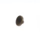 Shank Button Waffle Pattern 11 mm 18 L E 1344